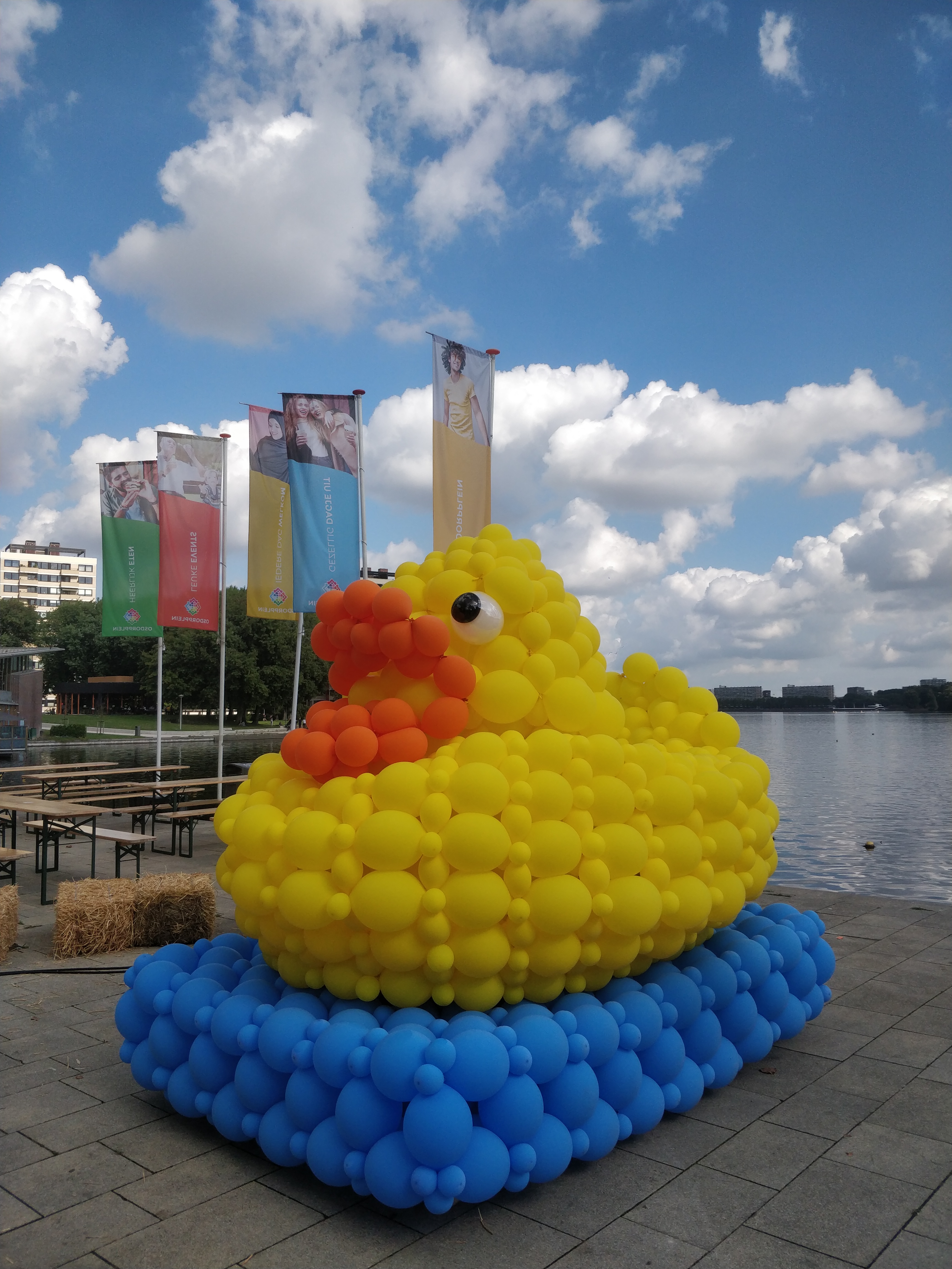 Bath duck